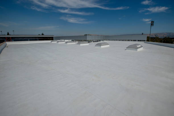 Best Roof Insulation Installation  in North College Hill, OH