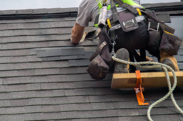 Best Chimney Flashing Repair  in North College Hill, OH